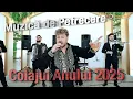 Download Lagu 🔈Iulian de la Vrancea 💣Colajul Anului 2025 ❎ Muzica de Petrecere Paște 2025 🔥 Anul ăsta m-am gândit