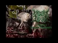 Download Lagu DEFENESTRATED TREACHERY - LACERATION COMMANDMENTS (VIDEO BY TRIBAL RECORDS)