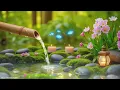 Download Lagu Prachtige pianomuziek 🌿 Ontspannende slaap, studie en kalmerende bamboeklanken voor diepe ontspanni