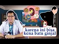 Download Lagu SAKIT BATU GINJAL ATAU KENCING BATU, PENYEBAB DAN SOLUSINYA - DOKTER SADDAM ISMAIL
