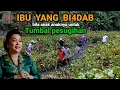Download Lagu Jib and Taghut idols of the Pesugihan Ronda songo Thursday legi Bunbul forest Ngasem Bojonegoro.