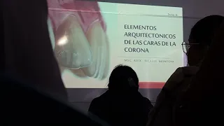 Anatomía dentaria 19 de Mayo