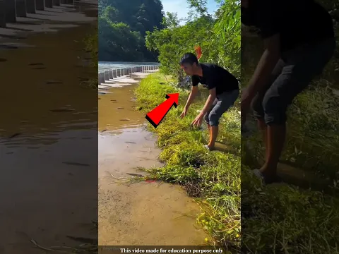 While cleaning the water in the street drain, the boy found the fish beneath the grass|#shorts