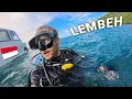 Download Lagu Inside Lembeh, Indonesia's MUCK Scuba Diving Paradise