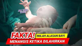 Download MENGAPA BAYI MENANGIS KETIKA LAHIR  TERKUAK FAKTA IN.... MP3