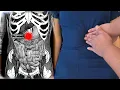 Download Lagu OMT: Visceral - Abdominal Collateral Ganglion Release (Celiac, Superior \u0026 Inferior Mesenteric)