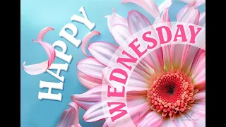 Happy Wednesday Beautiful Floral Wishes to Brighten Your Day