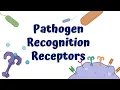 Pathogen Recognition Receptors Innate immune Response Toll-like Receptors