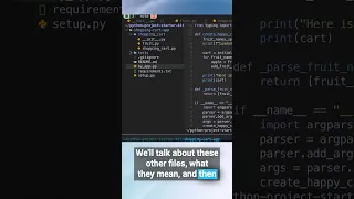 Python Project Files Folders basic example starter pack