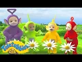 Lagu 🔴 Teletubbies LIVE 24/7 🔴 Let's Learn Numbers | Early Years Learning with the Teletubbies