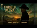 El 24 - Tigrillo Palma