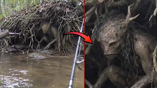 Cryptids So Terrifying You'll Hope They Aren't Real