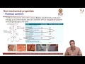 Materials Engineering Concepts Part 7