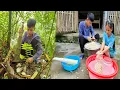 Download Lagu Two orphans. Harvesting bamboo shoots. How to make pickled bamboo shoots for long-term use