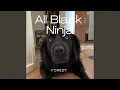 Download Lagu All Black Ninja