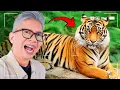 Download Lagu HARUS BISA BERFOTO DENGAN HEWAN INI!!