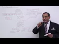 Classification Of Data Structure