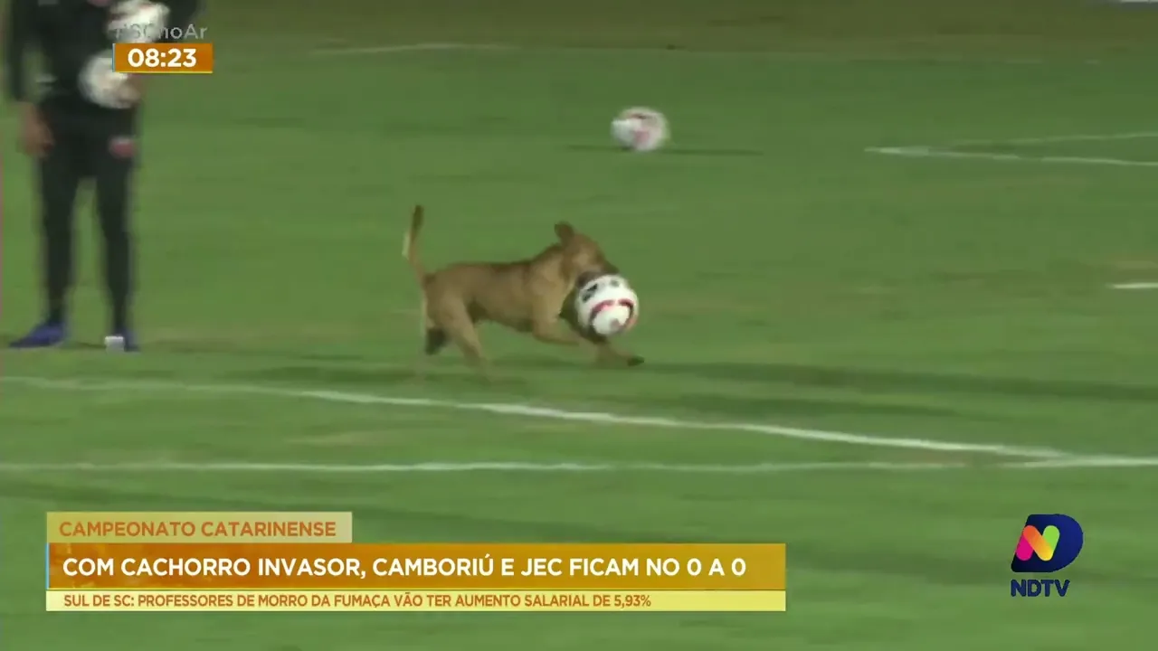 Confira os principais lances do campeonato paulista e catarinense