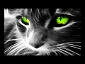 Download Lagu DJ SİNAN AFRO \u0026 MELODİC HOUSE VOL 2