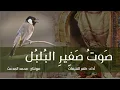 صوت صفير البلبل | صوت وأداء : ظفر النتيفات .