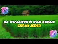 Download Lagu DJ NWANTITI X PAK CEPAK CEPAK JEDER II SOUND TIKTOK 2022