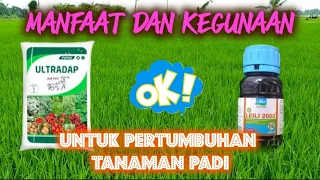 Download MANFAAT DAN KEGUNAAN ULTRADAP Vs LELILI 2000 UNTUK TANAMAN PADI MP3