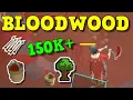 Ultimate Bloodwood Trees Guide OSRS