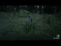 Violet Snowdrop RDR2 Locations - Red Dead redemption online Daily challenges