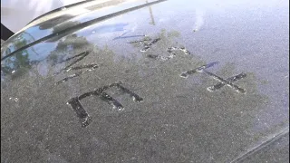 The importance of keeping your car clean from pollen in Jacksonville