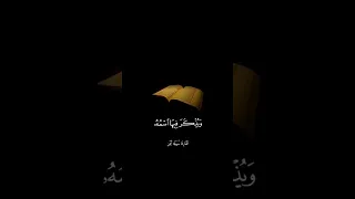 سورة النور بصوت القارئة سهيله ايمن 