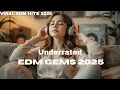 Download Lagu Viral EDM Chill Vibes 2025 🔥  You’ll Want This on Repeat