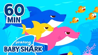 Baby Shark Doo Doo Doo 60 Min Compilation Baby Shark Remix Baby Shark Official 