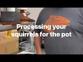 Tips for better tasting small game like squirrels rabbit coon and opossum