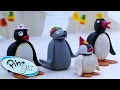 Download Lagu Pingu's Birthday! 🥳🎂 | Pingu Official | 1 Hour | Cartoons for Kids