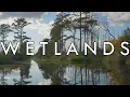 Wetlands - Mangroves Marshes and Bogs