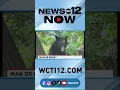 Man or bear sweeping the internet