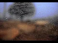 Hossein Behroozi Nia & Pejman Hadadi - Midnight Sun 01