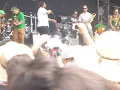 Ragga's 2013, Katchafire & Common Kings.