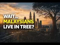 Lagu Do Malaysians Really Live in Trees? The Truth About Malaysia