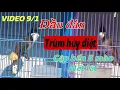 Lagu ĐẦU ĐÀN - TRÙM HUỶ D.IỆT // CẬP BẾN 5 MÀO VIP BAO CHẤT TỪNG BÉ // NẾU LẬT TÍT ĐÁNG ĐỂ CHO AE GỘT
