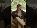 Download Lagu Laat je niet zo snel bedreigen...