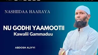 Nashiidaa Shek Abdoosh Aliyyii 2026 Subscribers Like Share Godha 