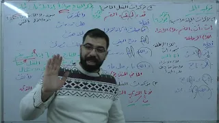 توكيد الجمل القواعد بكالوريا علمي أدبي لغة عربية 