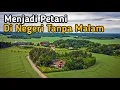 Download Lagu Menjadi Petani di Negeri Tanpa Malam ll Ikutin Keseruan Malam Hari yang Terang di Negara Swedia ll