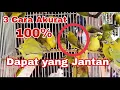 Download Lagu Cara memilih burung pleci dari ombyokan ,, di jamin dapat yang jantan