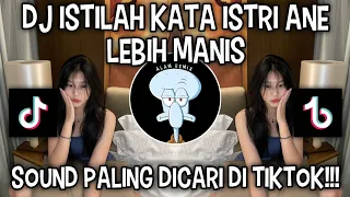 dj istilah kata istri ane lebih manis by dj rendy viral di tiktok 