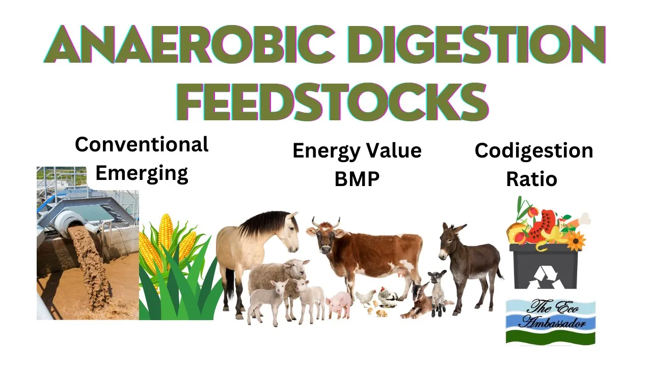 Lesson 3 Feedstocks for Anaerobic Digestion.