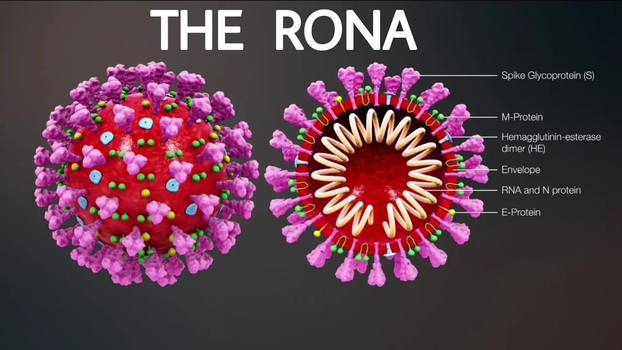 Coronavirus in Zambia