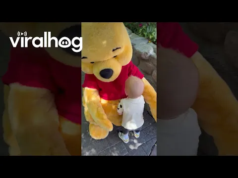 Little Boy Meeting Pooh Bear || ViralHog