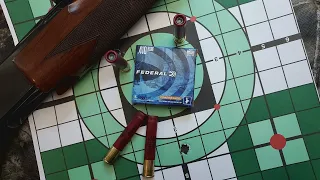Federal Powershok 410 bore rifled slugs in 2 5 shells for light skinned big game